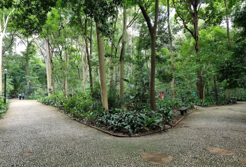 Para quem ama natureza, o Parque Trianon é ideal para fugir dos prédios, lojas e toda a agitação do cotidiano, sem precisar deixar a Avenida Paulista. O local é perfeito para respirar um ar no meio de árvores e fazer uma caminhada em um pedaço da Mata Atlântica. No parque tem aparelhos de ginástica, playgrounds e a famosa Trilha do Fauno - (Rodrigo Porto/Google Reviews)