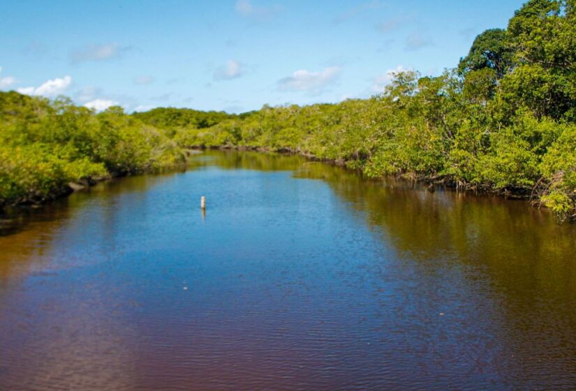 Por estar dentro do Parque Estadual da Ilha do Cardoso (PEIC), a Praia do Pereirinha tem uma capacidade limitada para visitantes, comportando até 1.000 pessoas por dia. Foto: Prefeitura de Cananéia