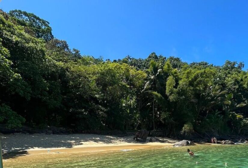 Cercada por Mata Atlântica preservada, a praia é um refúgio para quem deseja relaxar em meio à vegetação exuberante. Foto: Divulgação/Tripadvisor