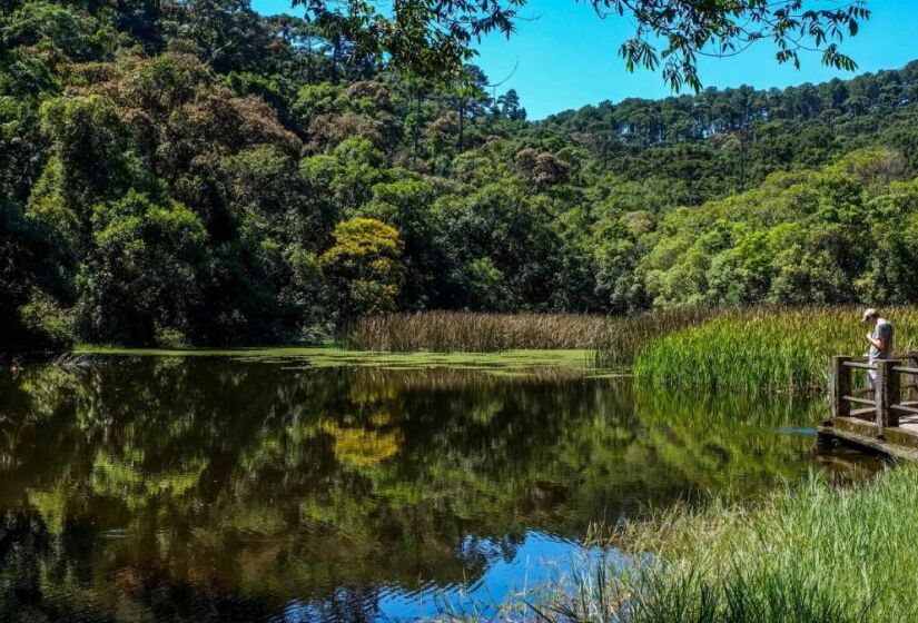 A principal trilha do parque é também a mais longa, com 9,6 km de extensão no total, ela é toda asfaltada e com placas que indicam a direção até chegar ao mirante (Pedra Grande). / Foto: trilheiros.net