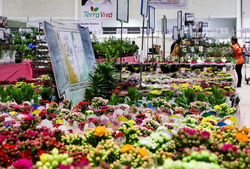 O evento reúne mais de 300 produtores florais para uma experiência única. Serão 300 espécies de flores e plantas ornamentais em exposição para venda, além de quatro mil variedades no Shopping das Flores - (Divulgação)