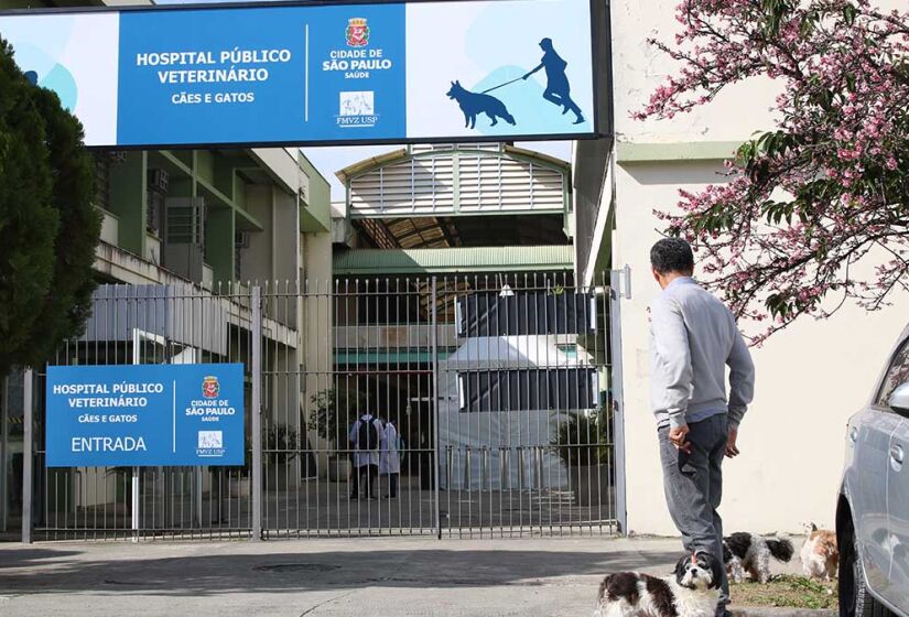 Os hospitais veterinários públicos de São Paulo atendem casos de urgência e emergência - Foto: Rovena Rosa / Agência Brasil