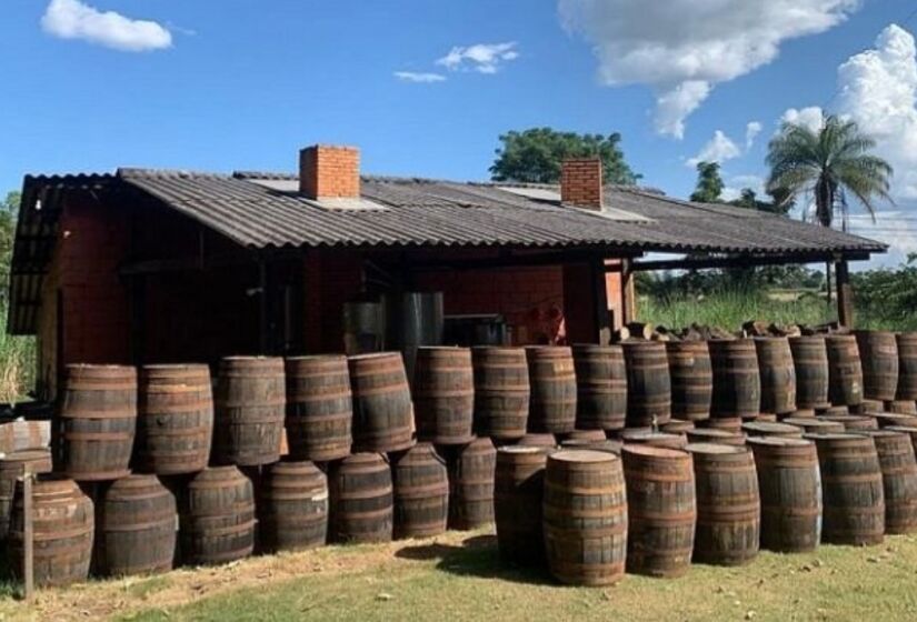 O Alambique Cachaça Sapucaia oferece visitas guiadas, onde os turistas podem conhecer o processo de fabricação artesanal da bebida, desde a fermentação até o envelhecimento em barris de carvalho. Ao final do passeio, há uma degustação das cachaças premiadas da casa, que trazem o sabor autêntico da bebida. Foto: Gerencia/Tripadvisor