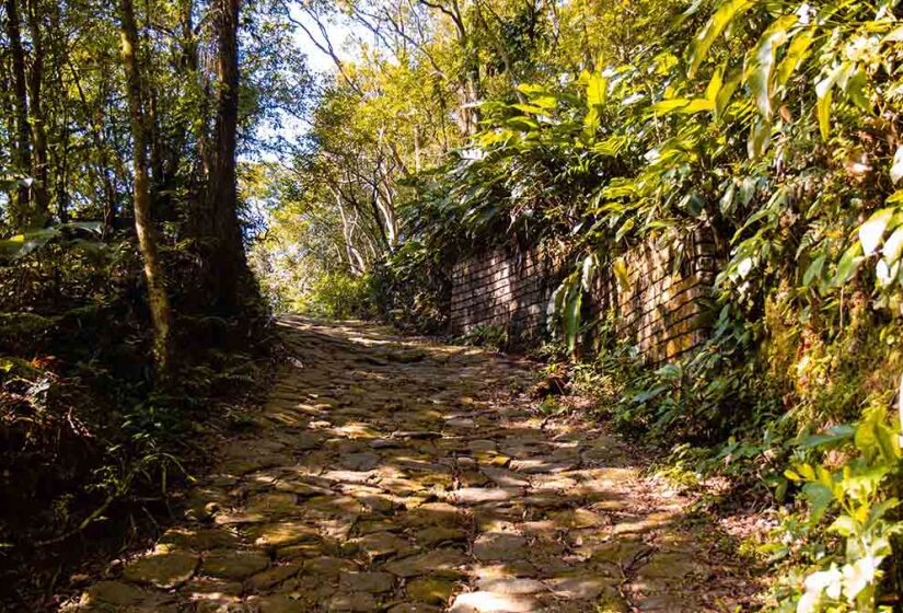 Trilha da Calçada do Lorena - Foto: Divulgação / Parque Caminhos do Mar