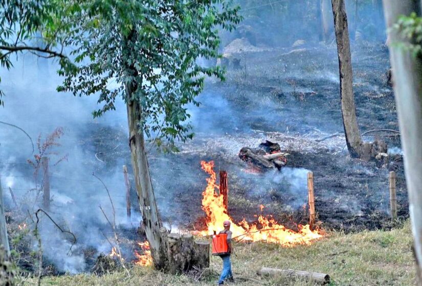 Incêndio começou segunda-feira (9/9) na divisa do município de Morungaba com Campinas. Foto: Carlos Bassan