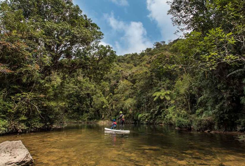 O SelvaSP funciona como uma agência que possibilita diversas experiências em meio à natureza - Foto: Alécio Cezar / Divulgação SelvaSP