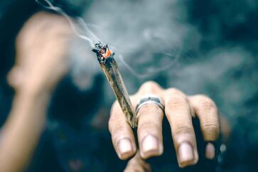 A maconha, segundo estudos, pode ser prejudicial para a saúde cardiovascular