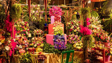Festival Expoflora ocorre anualmente na cidade de Holambra