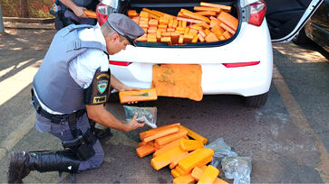 Grande quantidade de tabletes de maconha e carro dublê foram apreendidos