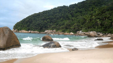 Praia Saco do Major é caracterizada por vegetação abundante, areia grossa e ondas fortes