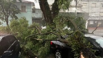 A chuva derrubou árvores e deixou pessoas sem energia desde semana passada em São Paulo