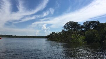 A maior parte da água doce do Brasil está concentrada na Amazônia, onde o Rio Amazonas e seus afluentes correspondem a 1/5 de toda a água do mundo. 