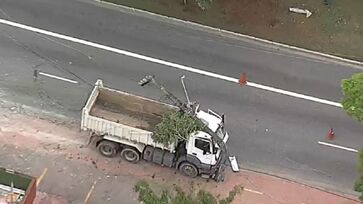 Caminhão derrubou uma árvore e um poste com o impacto da batida