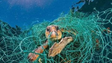 A pesca fantasma, chamada de ghost fishing em inglês, é o que acontece quando os equipamentos desenvolvidos para capturar animais marinhos são abandonados no mar. 