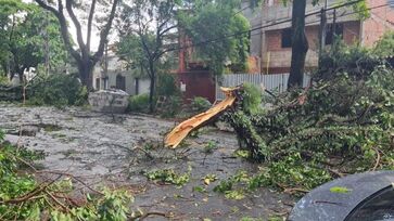 Chuvas em São Paulo deixam imóveis sem luz e causam quedas de árvores (foto ilustrativa)