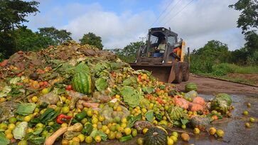 São Paulo desperdiça 33 mil toneladas de alimentos por ano