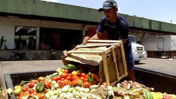 Cerca de 733 milhões de pessoas ainda enfrentam a fome no mundo