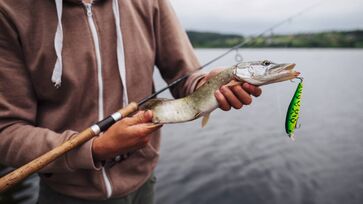 Pesca é o principal atrativo do município