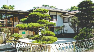 Para os amantes da cultura japonesa, o Pavilhão Japonês é uma das paradas obrigatórias dentro do Parque Ibirapuera