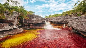 O que torna o Caño Cristales tão especial são os núcleos repleto de cores nas águas, que parecem refletir um arco-íris nas profundezas do rio. 