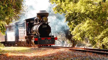 Passeio de trem de Miguel Pereira é feito em uma locomotiva histórica, com mais de 130 anos