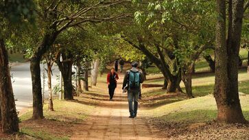 Universidade de São Paulo é a 5ª mais sustentável do mundo