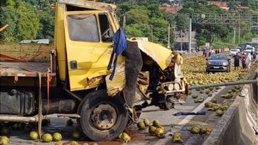 Carga do caminhão ficou espalhada na pista e impediu o fluxo de veículos