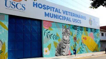 Hospital Veterinário Universitário Municipal São Lázaro realiza atendimentos clínicos e cirúrgicos de cães e gatos e pets não convencionais