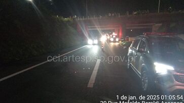 Atropelamento ocorreu no sentido oeste da rodovia, altura do quilômetro 173, por volta das 0h20