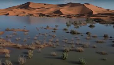 Chuva histórica atingiu o deserto do Saara recentemente