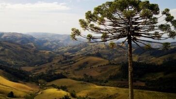 Senador Amaral, em Minas Gerais, se destaca por ser um destino pouco explorado pelos turistas