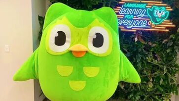 Duo, mascote do Duolingo, morre aos 14 anos