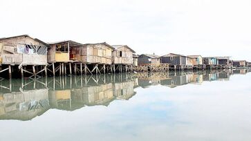 Em 2014, a área ocupada pela maior favela de palafitas do Brasil atingiu aproximadamente 196 mi m2