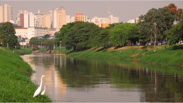 Retirado do corpo foi feita pelos bombeiros às margens do rio Sorocaba