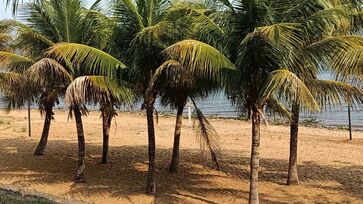 Praia de água doce fica às margens do rio Paraná