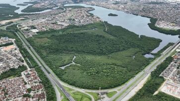 Cubatão se junta às 34 cidades brasileiras partes do programa "Tree Cities of the World"