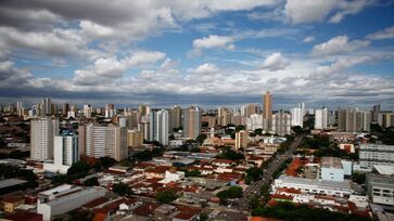 Capital de Mato Grosso do Sul recebe reconhecimento internacional por sua gestão sustentável das florestas urbanas