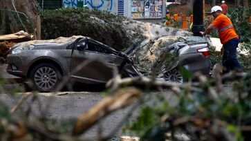 Tempestade derrubou mais de 300 árvores em São Paulo