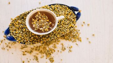 Chá de Valeriana é um importante aliado contra o estresse e hipertensão