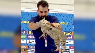Forma aparentemente rude como o jornalista afastou o animal foi criticada à época