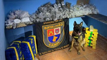 Local era acessado por meio de uma passagem secreta e foi descoberto pelo pastor belga malinois Machi
