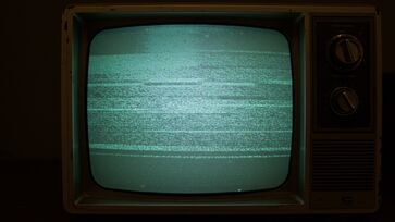 Algumas marcas brasileiras de televisores e aparelhos de som entraram para a história das famílias