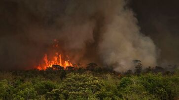 Dados do Deter indicam que 51% do desmatamento decorrem de incêndios florestais