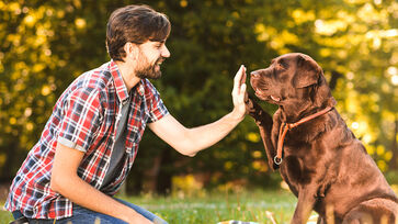 O conceito de que os cães geralmente se parecem com seus donos não passa apenas de uma teoria