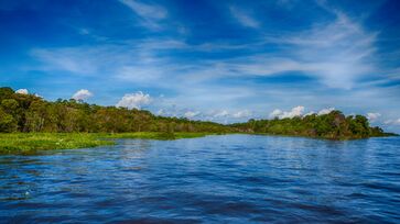A Amazônia vai muito além do que você imagina. Descobrimos 5 hotéis que são verdadeiros santuários de conforto e aventura, com arquitetura sustentável e experiências únicas.