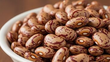 Combata a infestação de carunchos: aprenda a prevenir e recuperar seus alimentos.