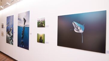 Exposição integra a 3ª edição do projeto Arte na Pinacoteca da Baixada Santista