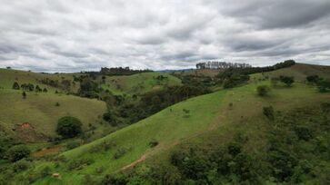 PSA Refloresta-SP pretende restaurar 1.300 hectares com sistemas produtivos ecológicos