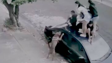 Ataque foi registrado por uma câmera de segurança e mostra o momento em que o animal avança nas crianças
