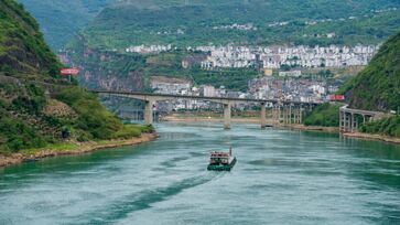 Pesquisadores identificaram uma nova espécie de peixe predador nos rios da província de Yunnan, no sul da China
